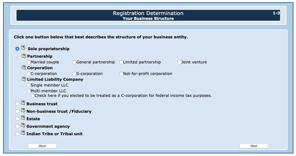 business structure